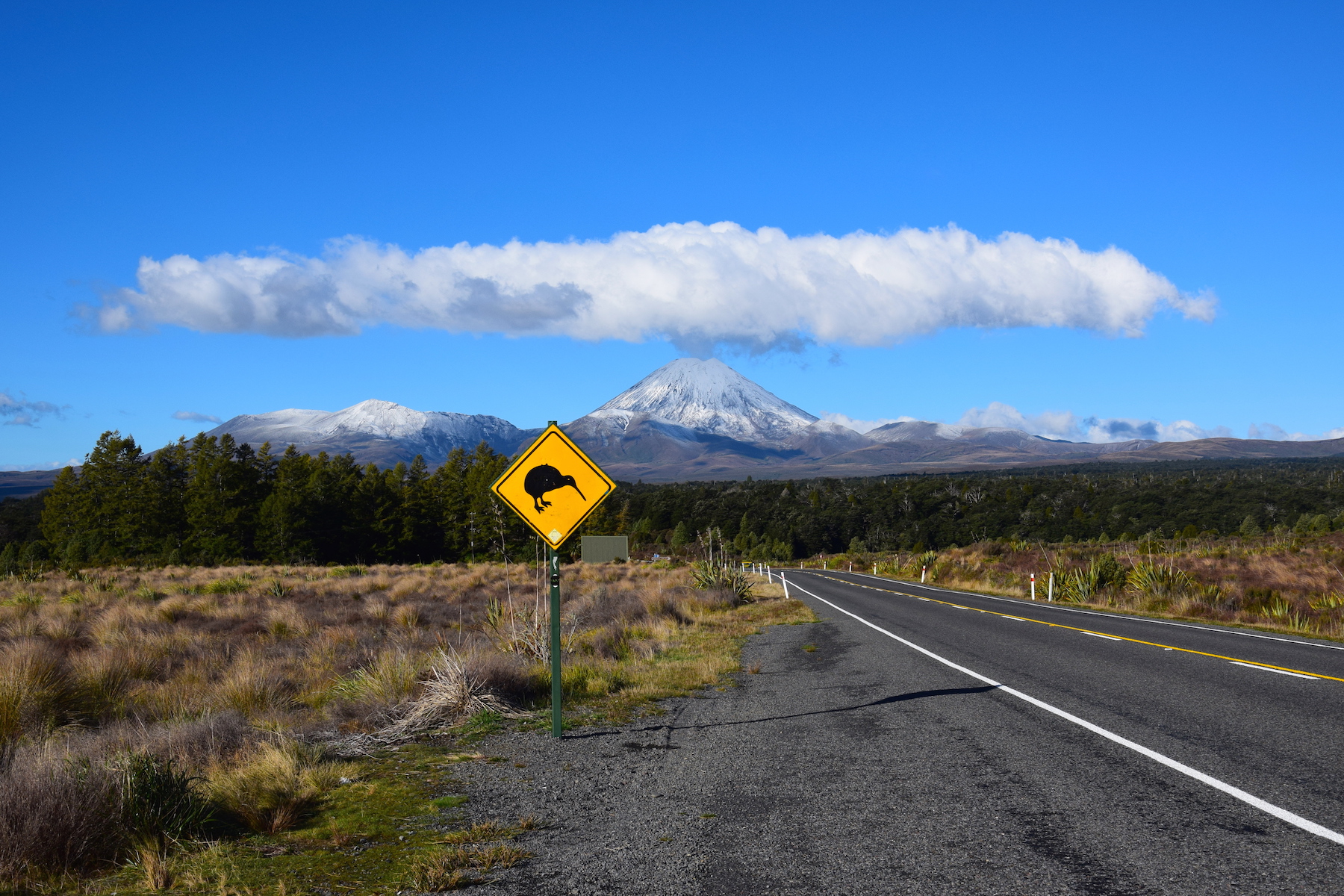 Whakapapa